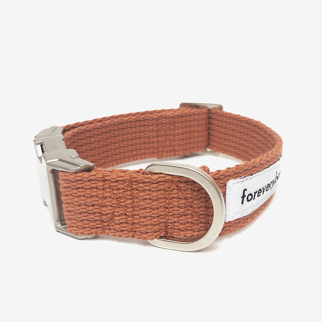 ※予約販売【foreverybari】Classic Pet Collar（Camel）