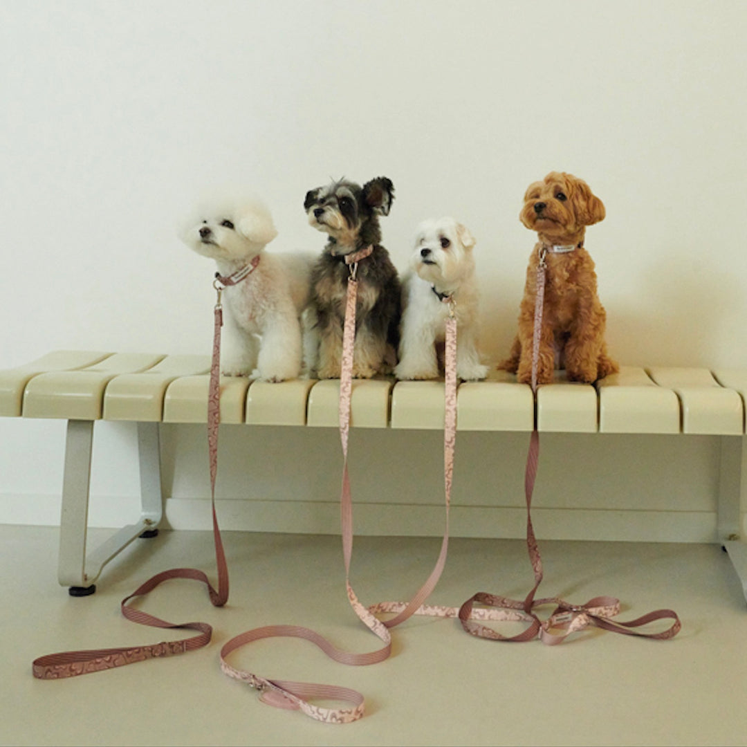 即納【foreverybari】Marble Heart Pet Collar（Strawberry）