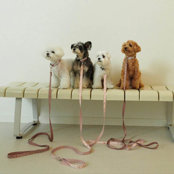 即納【foreverybari】Marble Heart Pet Collar（Strawberry）