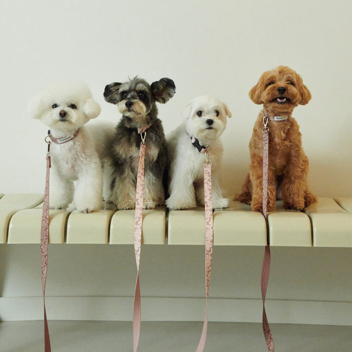 即納【foreverybari】Marble Heart Pet Collar（Strawberry）