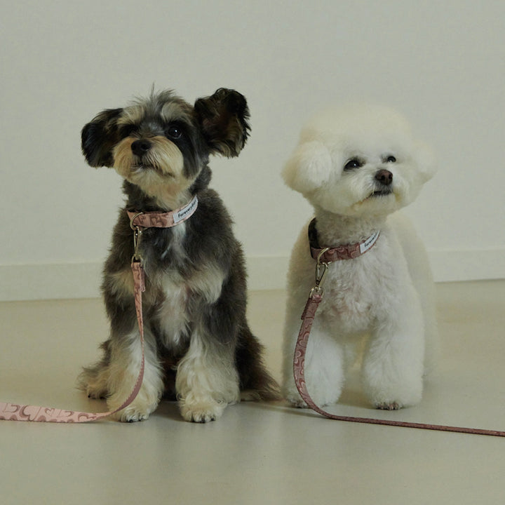 即納【foreverybari】Marble Heart Pet Collar（Strawberry）