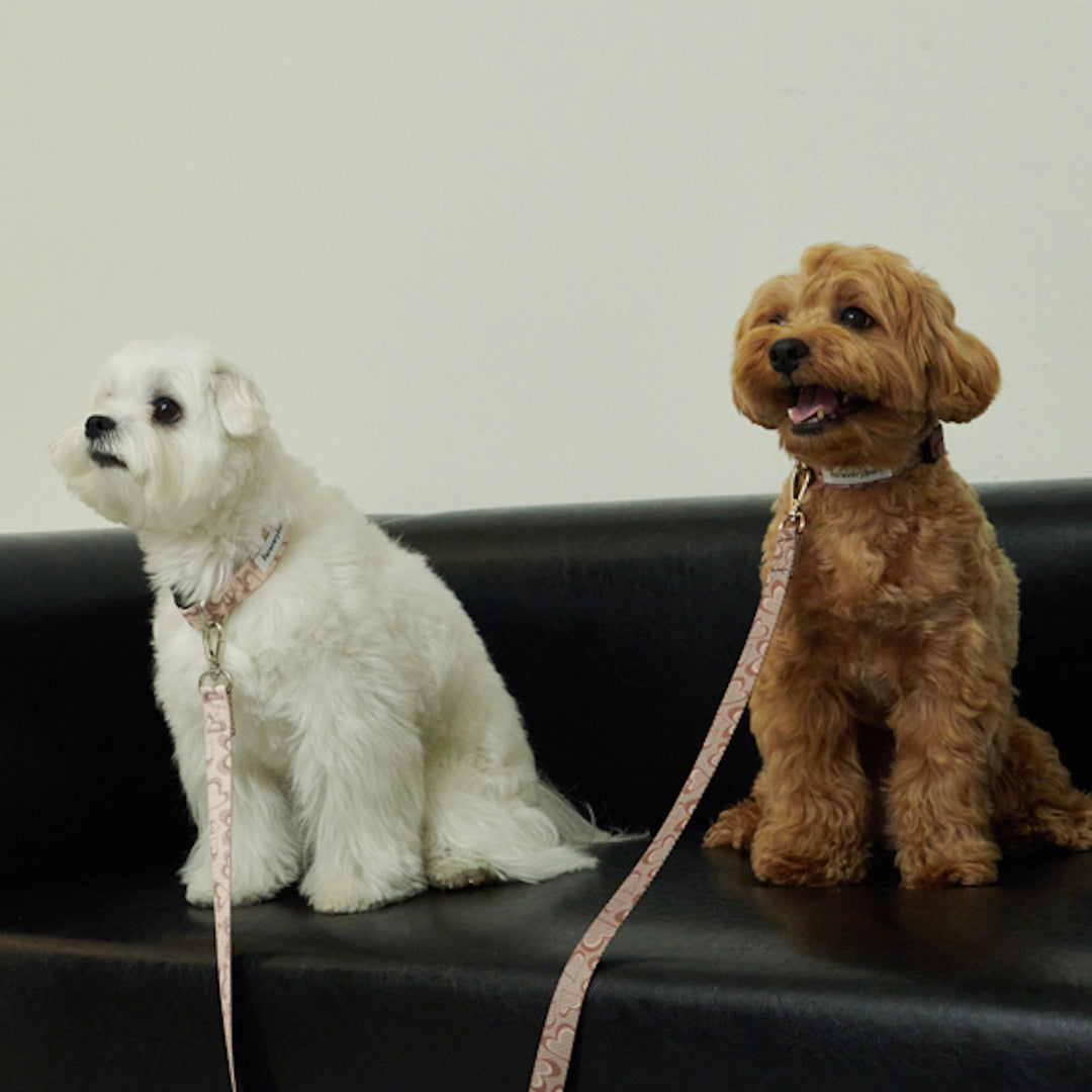 即納【foreverybari】Marble Heart Pet Collar（Strawberry）