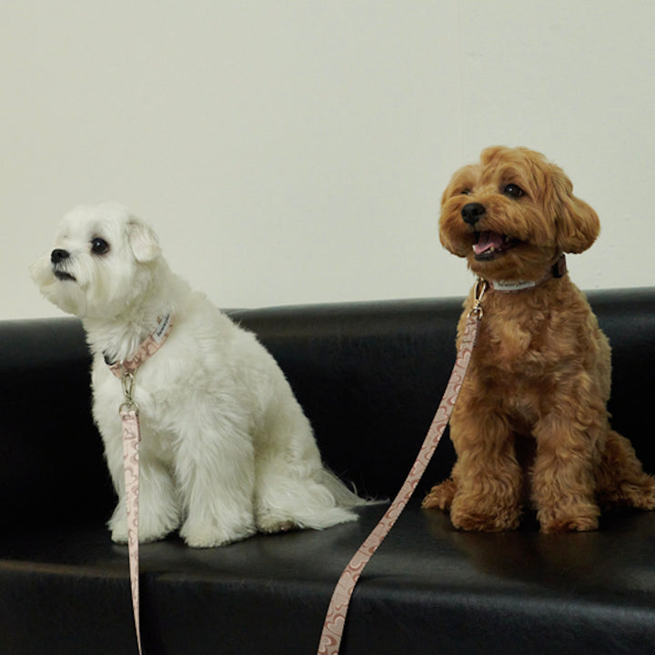 即納【foreverybari】Marble Heart Pet Collar（Strawberry）