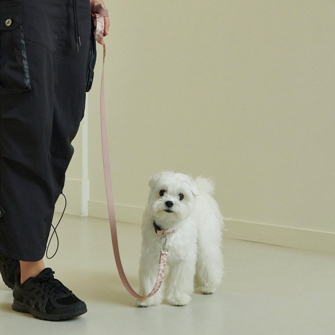 即納【foreverybari】Marble Heart Pet Collar（Strawberry）