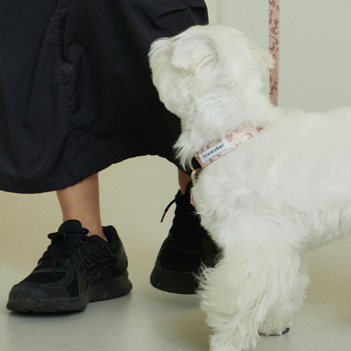 即納【foreverybari】Marble Heart Pet Collar（Strawberry）