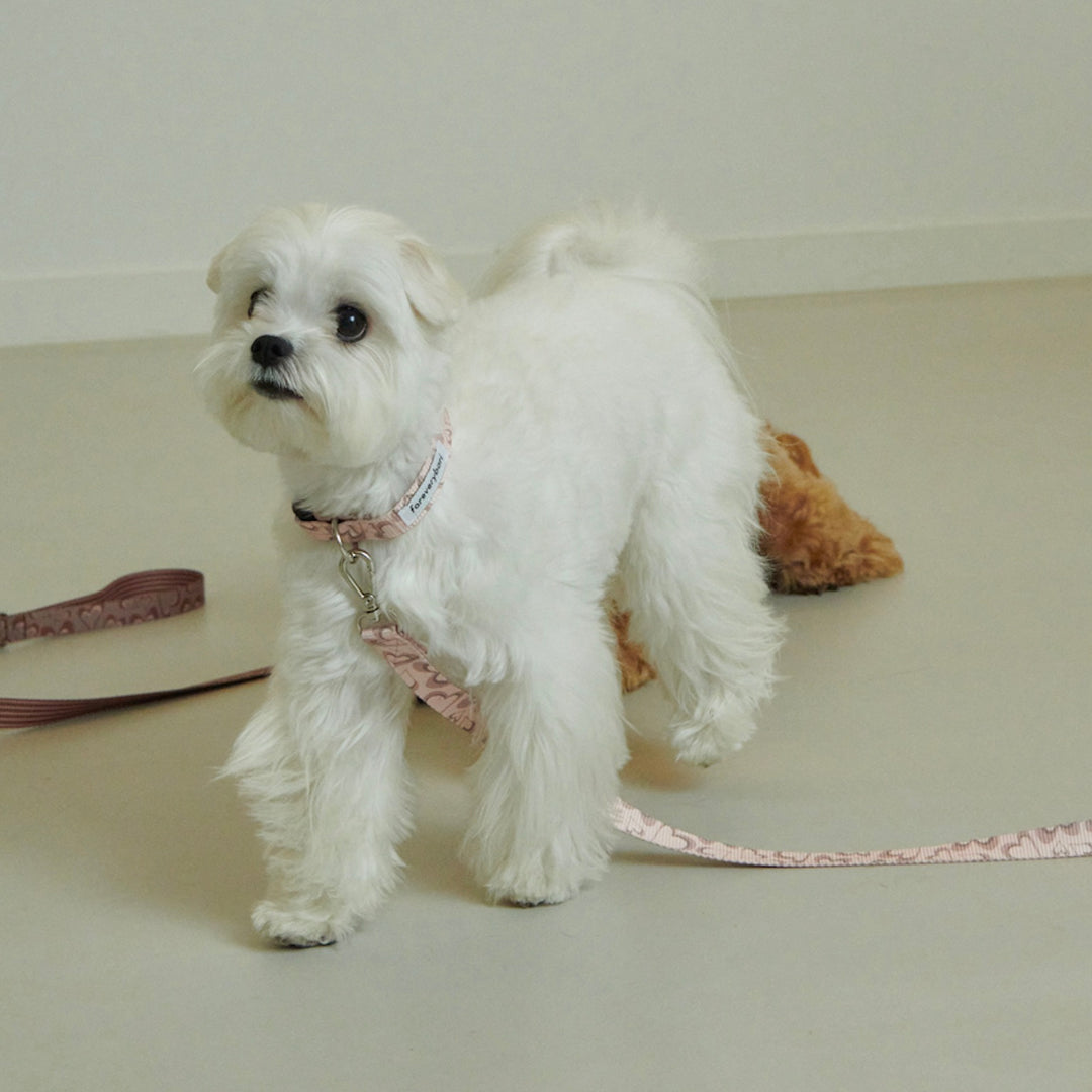 即納【foreverybari】Marble Heart Pet Collar（Strawberry）