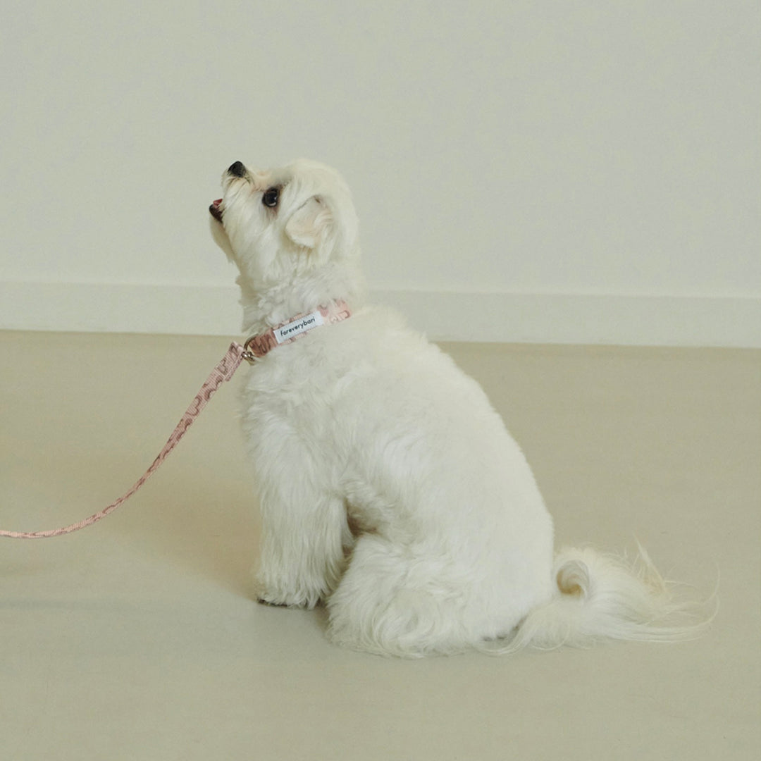 即納【foreverybari】Marble Heart Pet Collar（Strawberry）