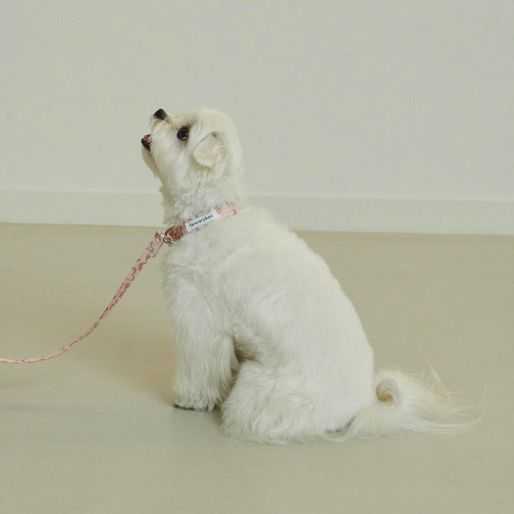 即納【foreverybari】Marble Heart Pet Collar（Strawberry）