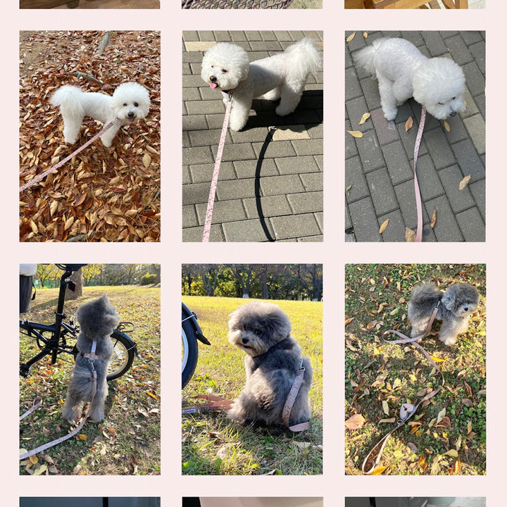 即納【foreverybari】Marble Heart Pet Collar（Strawberry）