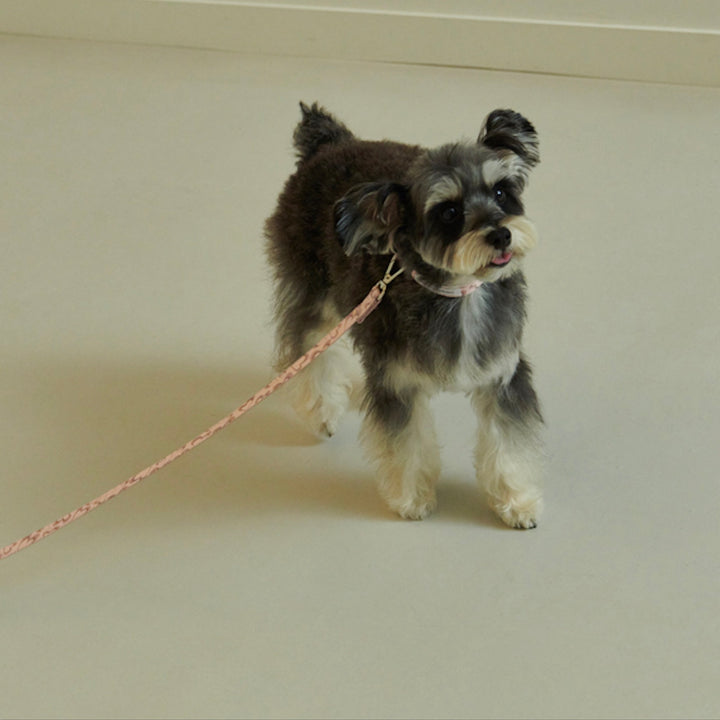 即納【foreverybari】Marble Heart Pet Collar（Strawberry）