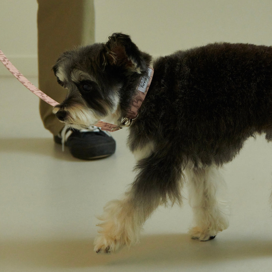 即納【foreverybari】Marble Heart Pet Collar（Strawberry）