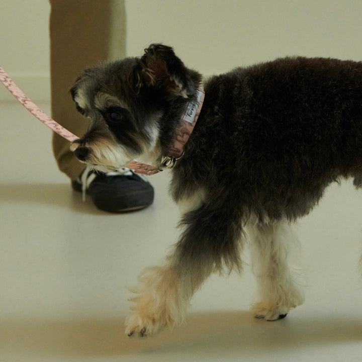 即納【foreverybari】Marble Heart Pet Collar（Strawberry）