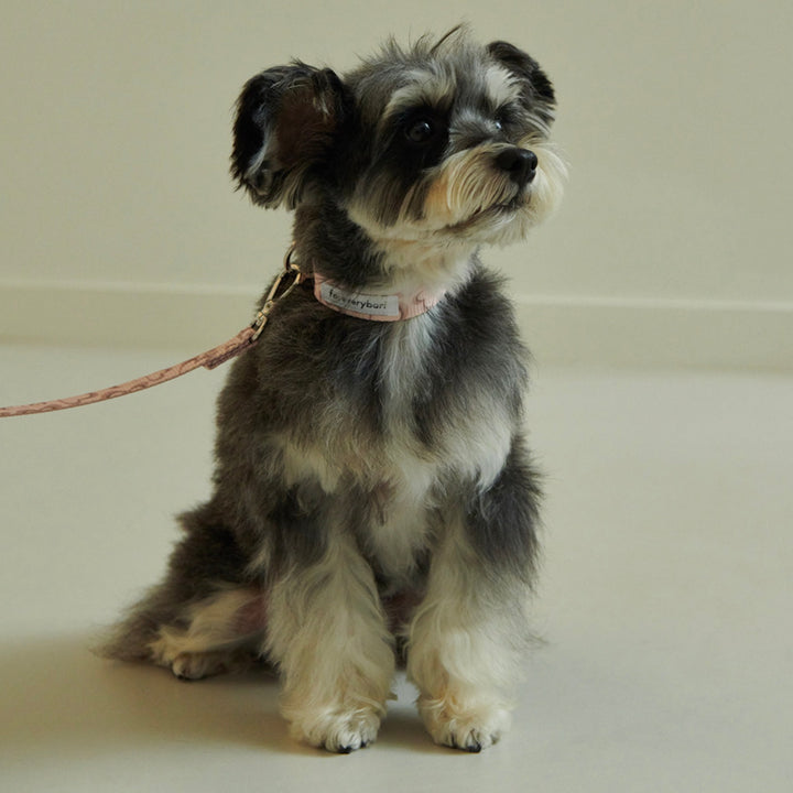 即納【foreverybari】Marble Heart Pet Collar（Strawberry）