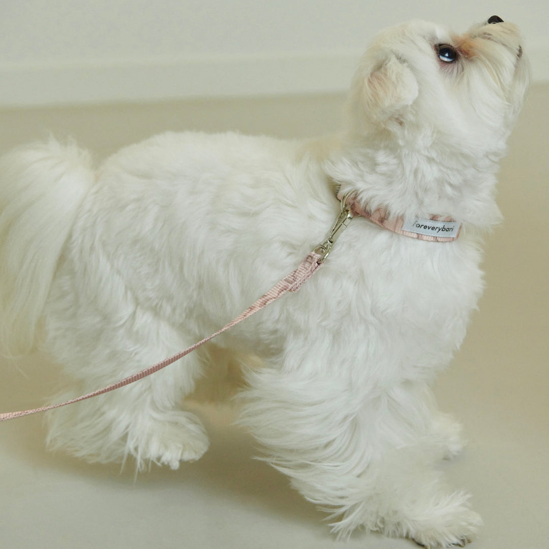 即納【foreverybari】Marble Heart Pet Collar（Strawberry）