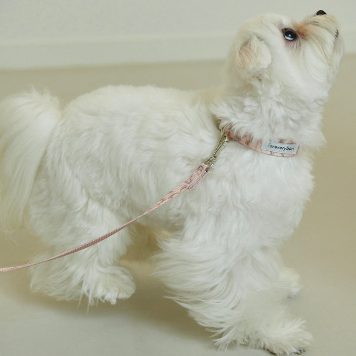 即納【foreverybari】Marble Heart Pet Collar（Strawberry）