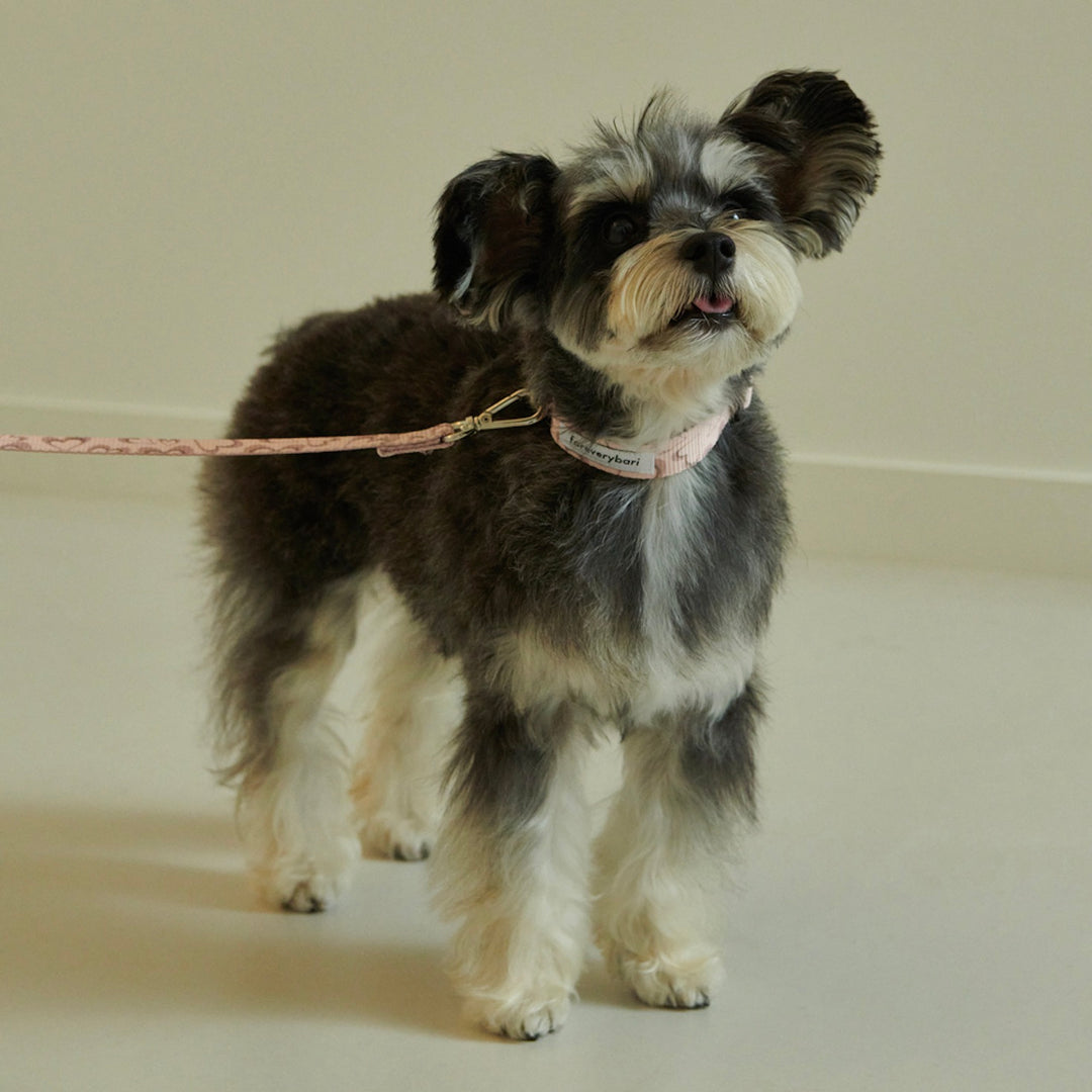 即納【foreverybari】Marble Heart Pet Collar（Strawberry）