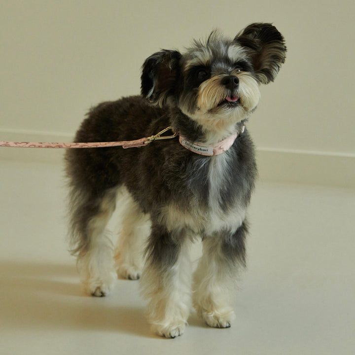 即納【foreverybari】Marble Heart Pet Collar（Strawberry）