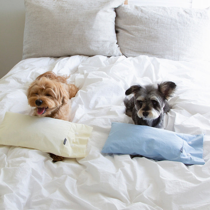 ※予約販売【foreverybari】Cotton Pillow（Cream）