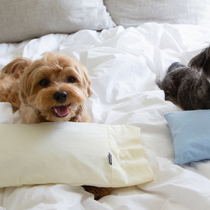 ※予約販売【foreverybari】Cotton Pillow（Cream）