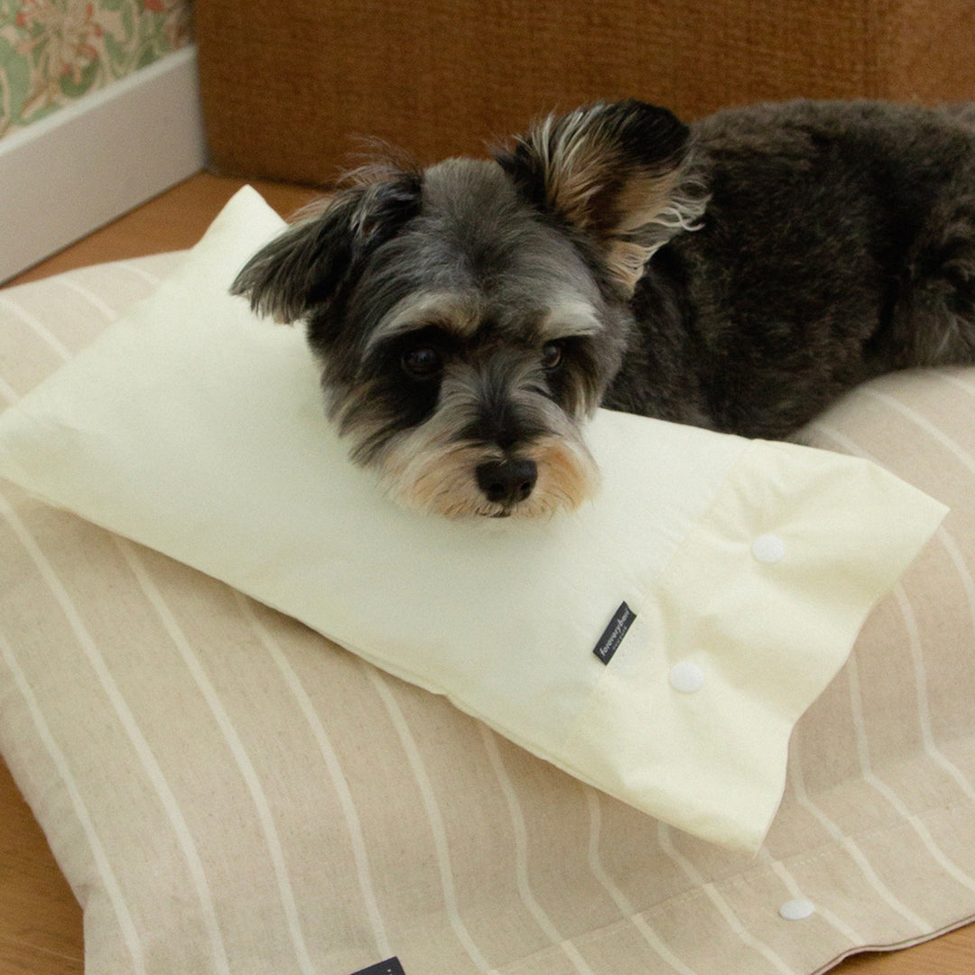 ※予約販売【foreverybari】Cotton Pillow（Cream）