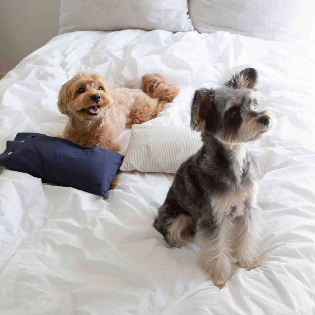 ※予約販売【foreverybari】Cotton Pillow（Navy）