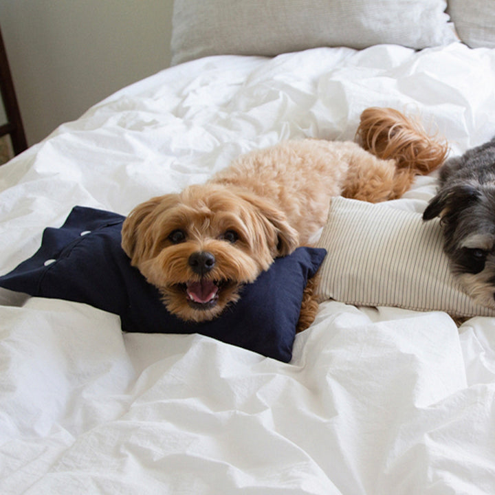 ※予約販売【foreverybari】Cotton Pillow（Navy）