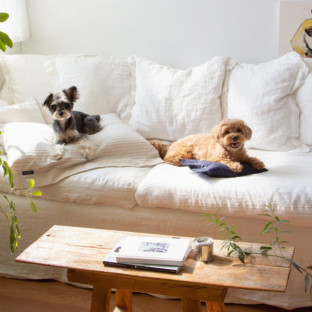 ※予約販売【foreverybari】Cotton Pillow（Navy）