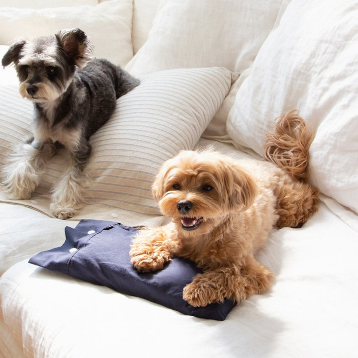 ※予約販売【foreverybari】Cotton Pillow（Navy）