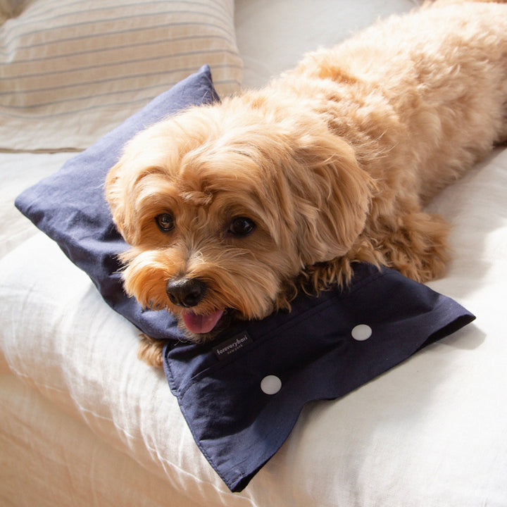 ※予約販売【foreverybari】Cotton Pillow（Navy）