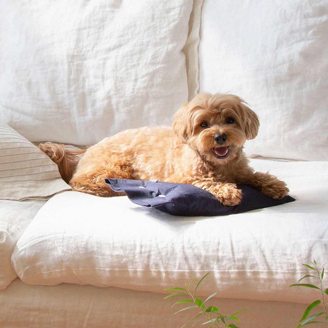 ※予約販売【foreverybari】Cotton Pillow（Navy）