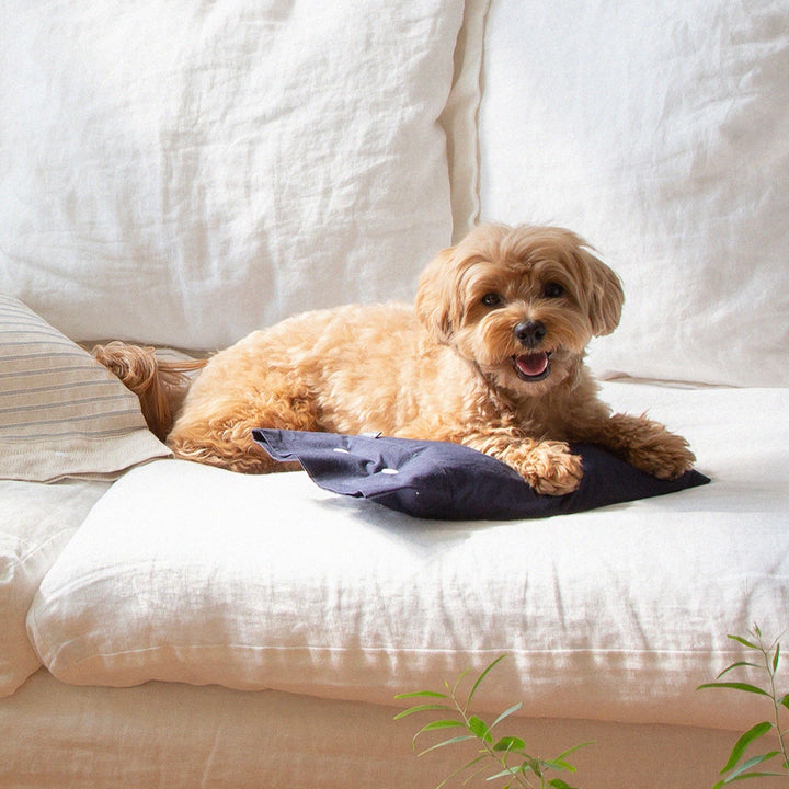 ※予約販売【foreverybari】Cotton Pillow（Navy）