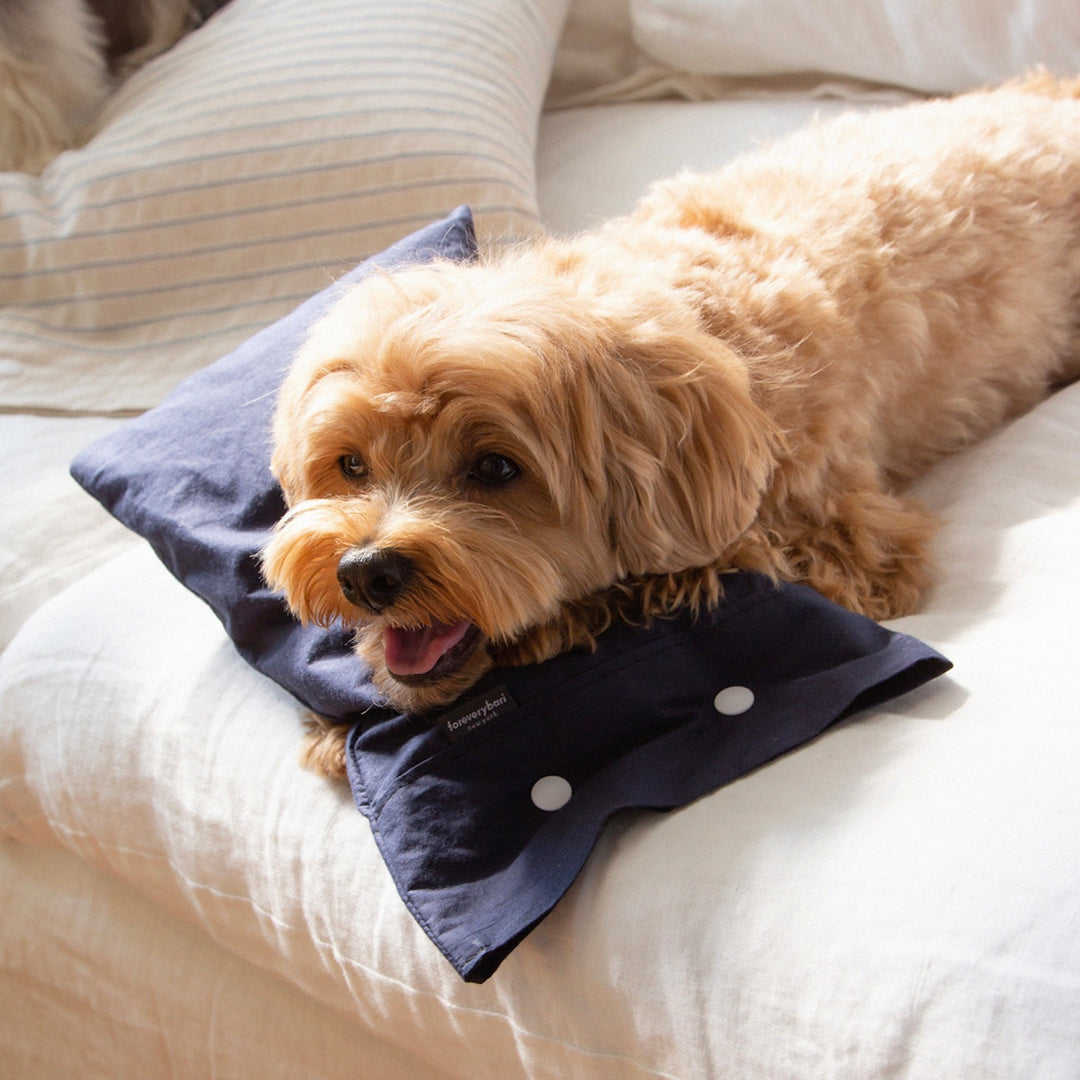 ※予約販売【foreverybari】Cotton Pillow（Navy）