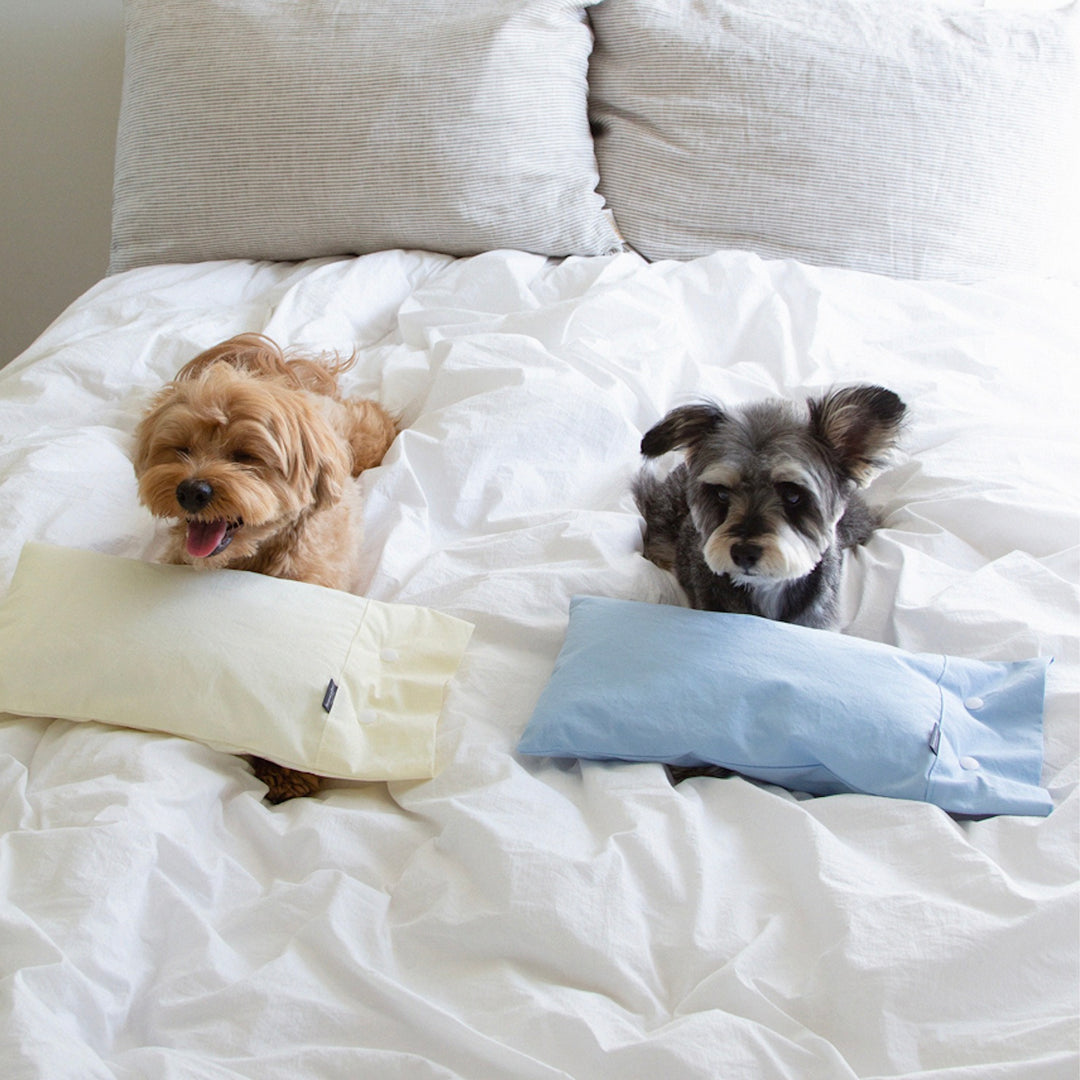 ※予約販売【foreverybari】Cotton Pillow（Sky）