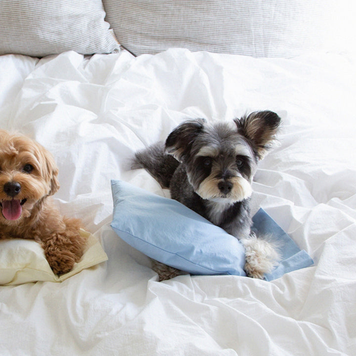 ※予約販売【foreverybari】Cotton Pillow（Sky）