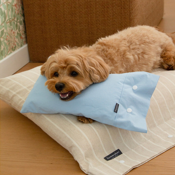 ※予約販売【foreverybari】Cotton Pillow（Sky）