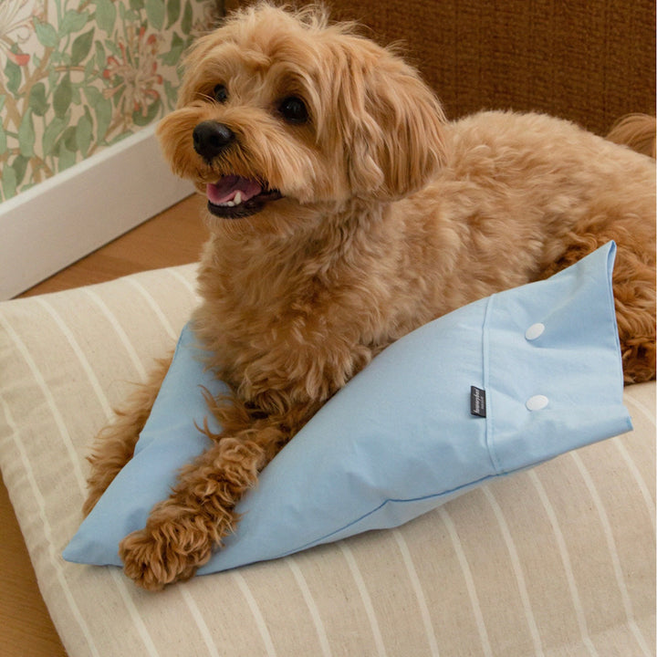 ※予約販売【foreverybari】Cotton Pillow（Sky）