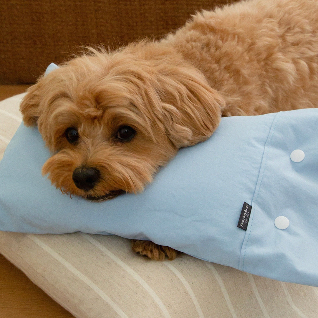 ※予約販売【foreverybari】Cotton Pillow（Sky）