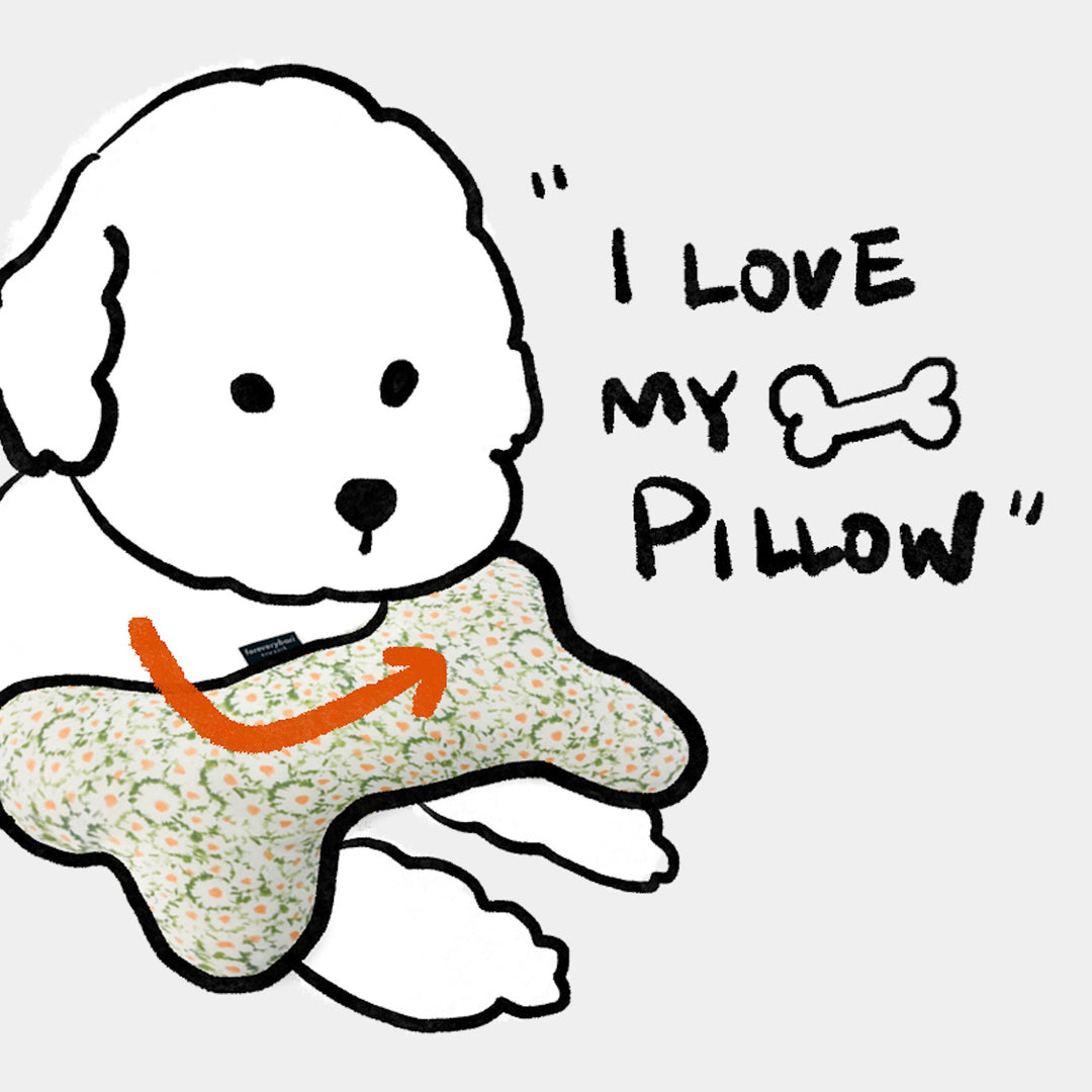 ※予約販売【foreverybari】Daisy Bone Pillow（Green）