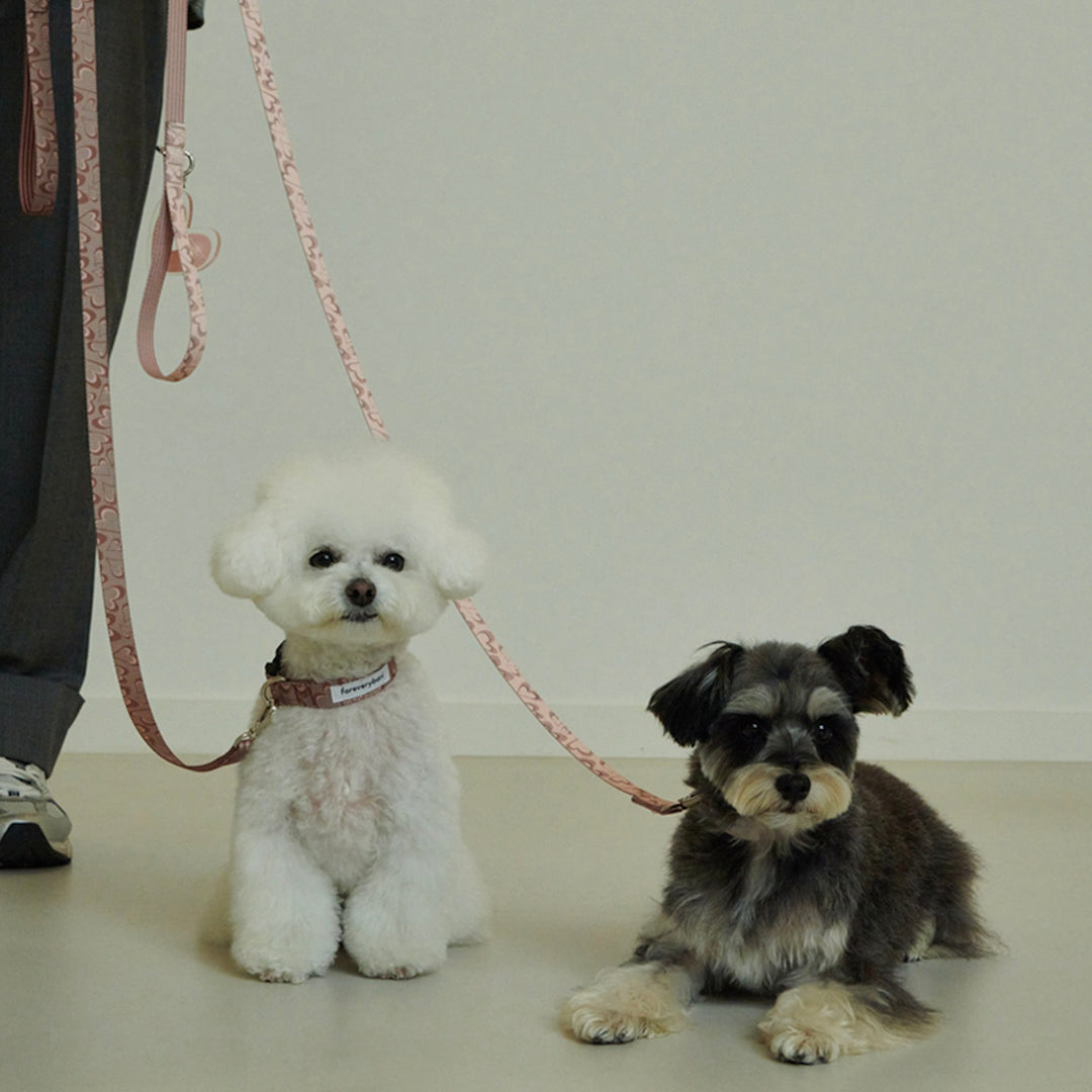 即納【foreverybari】NEW Heart Poop Bag Keyring（Chocolate）