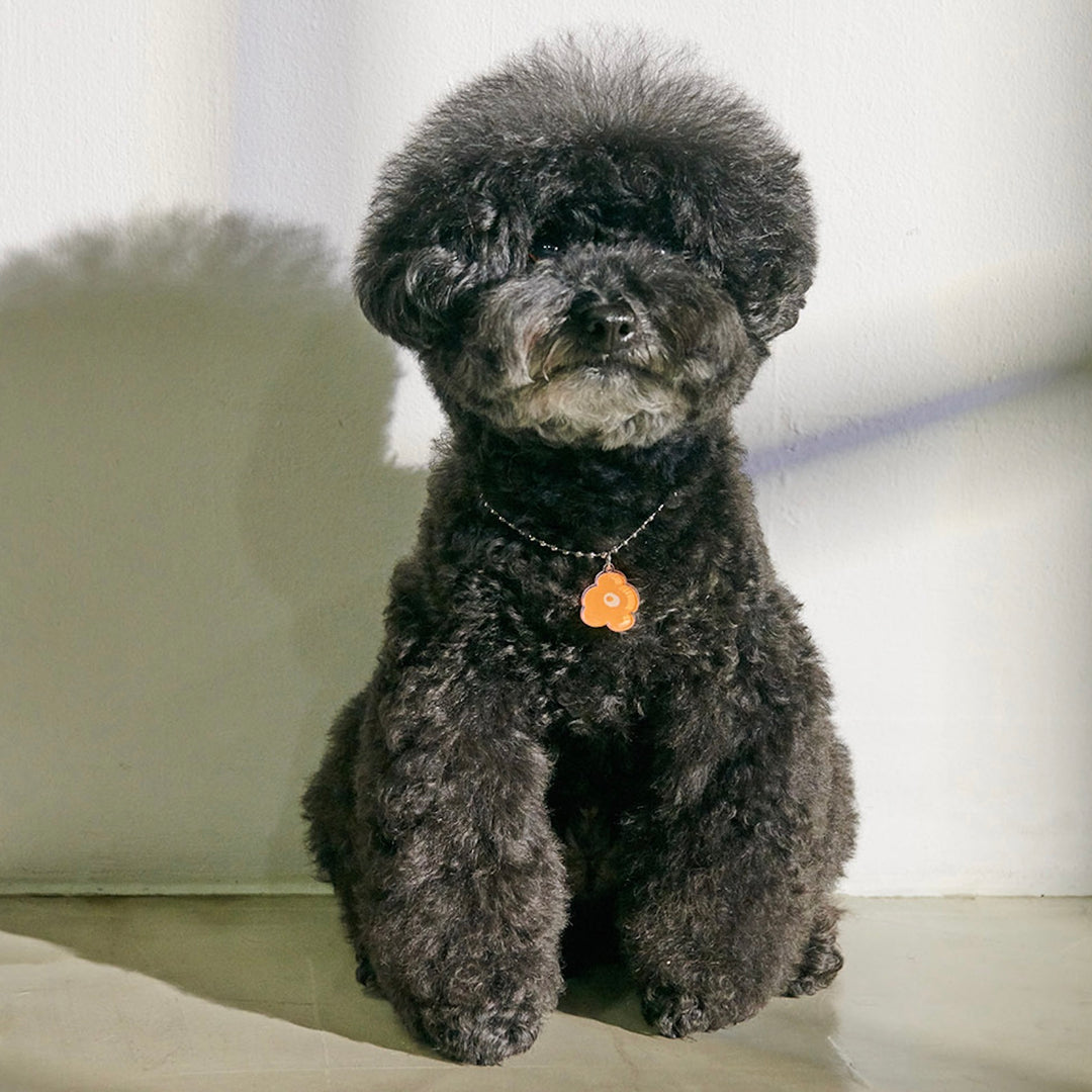 ※予約販売【foreverybari】PENSÉE Necklace