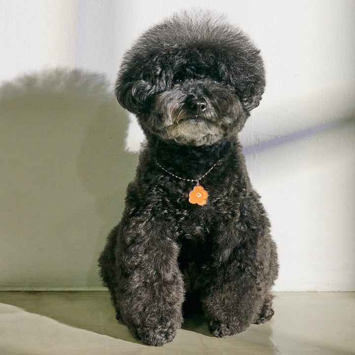 ※予約販売【foreverybari】PENSÉE Necklace