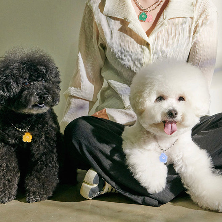 ※予約販売【foreverybari】PENSÉE Necklace