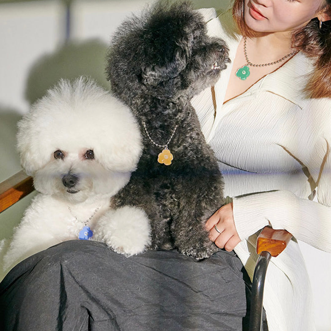 ※予約販売【foreverybari】PENSÉE Necklace