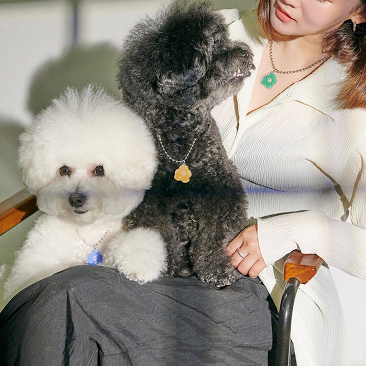 ※予約販売【foreverybari】PENSÉE Necklace