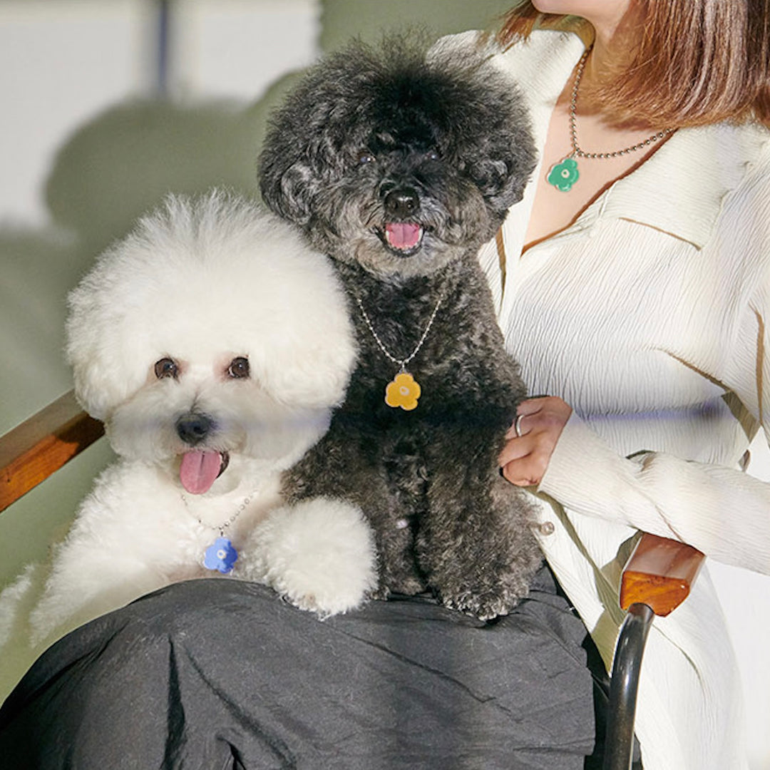 ※予約販売【foreverybari】PENSÉE Necklace