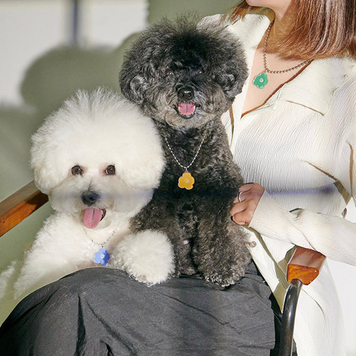 ※予約販売【foreverybari】PENSÉE Necklace