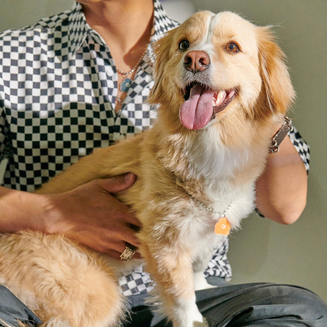 ※予約販売【foreverybari】PENSÉE Necklace