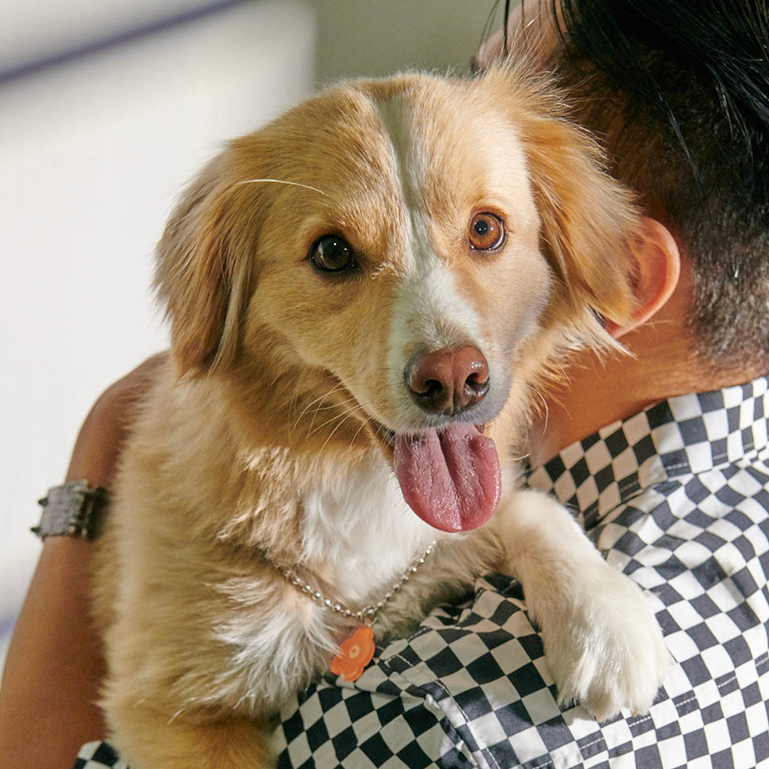 ※予約販売【foreverybari】PENSÉE Necklace