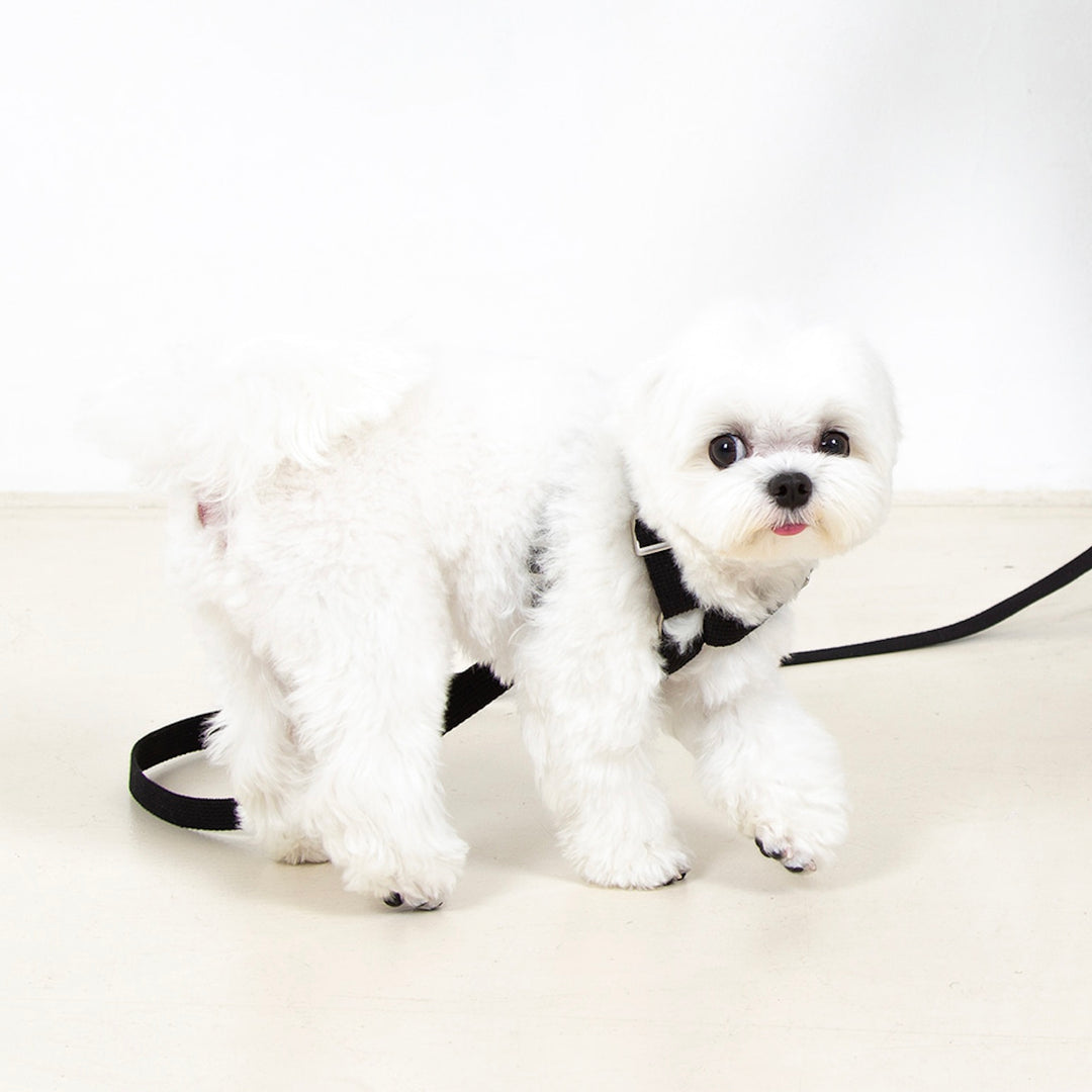 ※予約販売【foreverybari】Classic Pet Harness（Black）