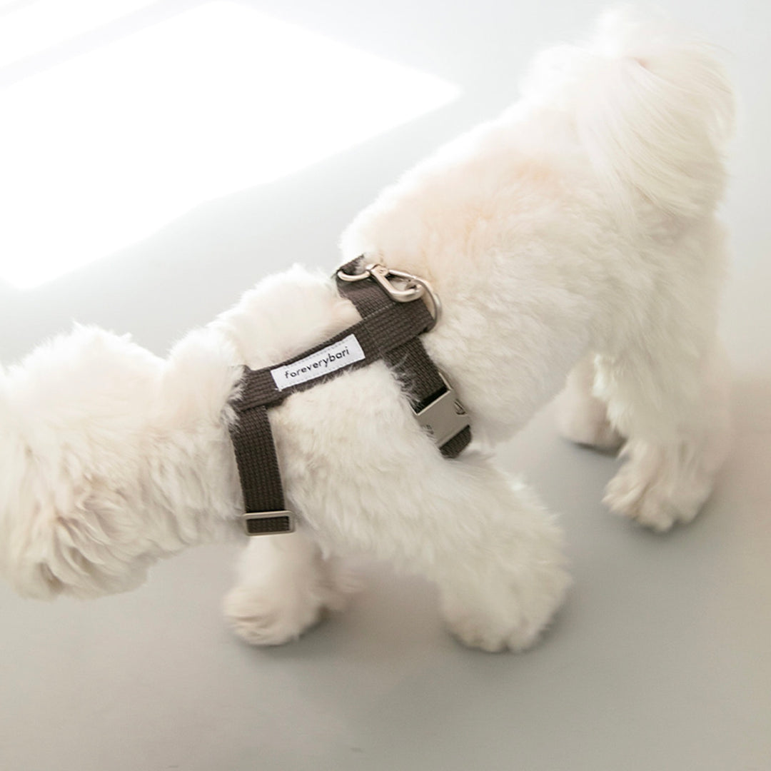 ※予約販売【foreverybari】Classic Pet Harness（Black）